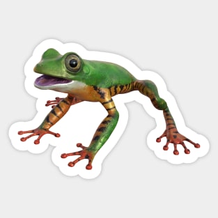 Tiger leg monkey tree frog Sticker